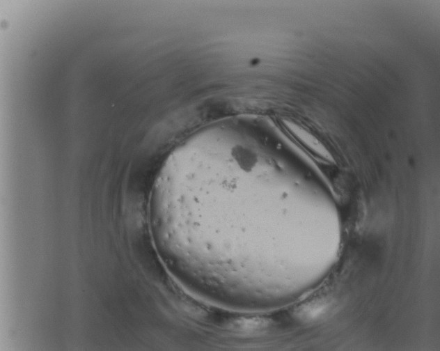 X0000062880323200601171454