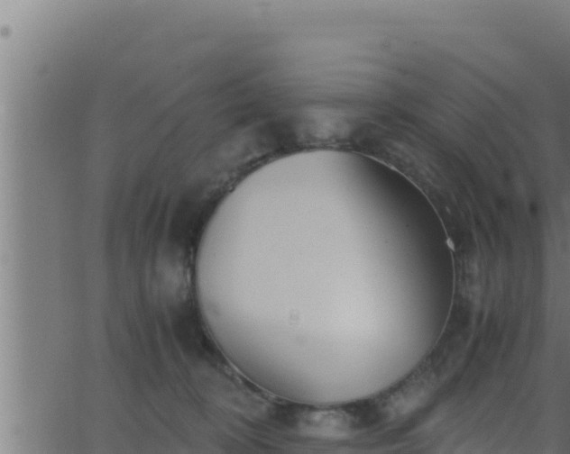 X0000062880324200601171454