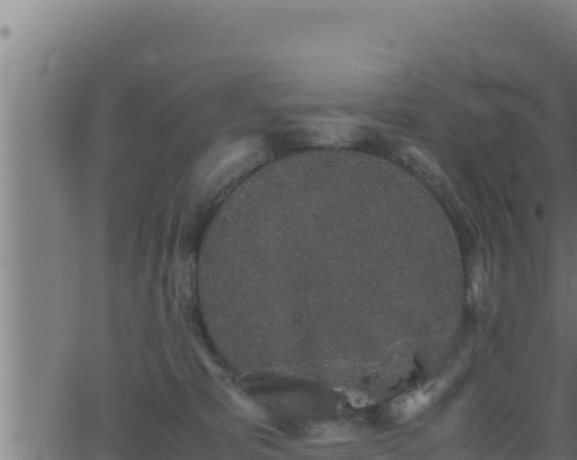 X0000062880325200601171454