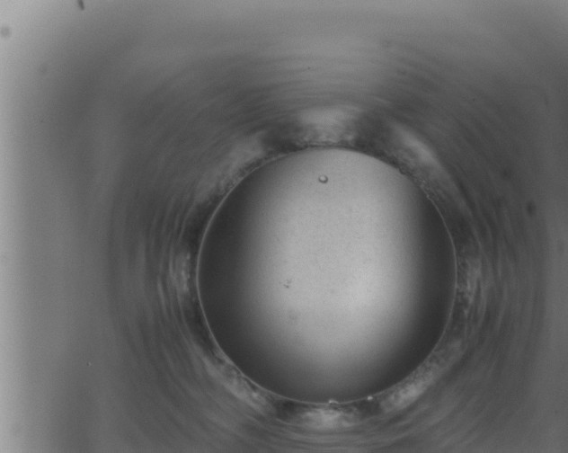 X0000062880326200601171454