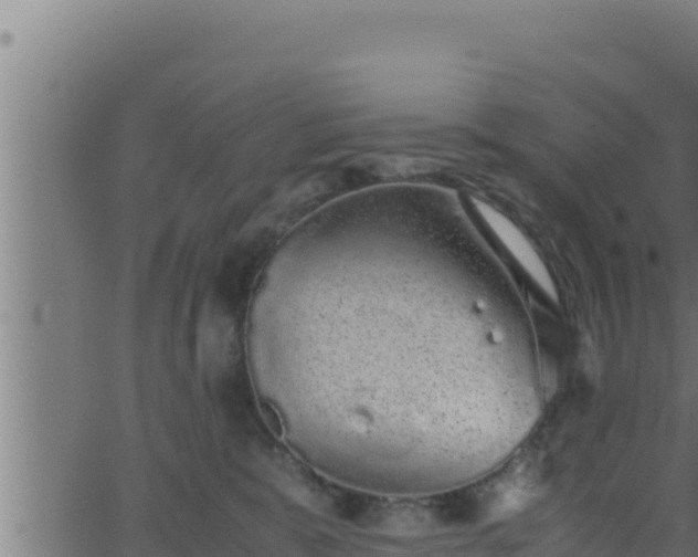 X0000062880327200601171454