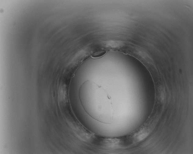 X0000062880328200601171454