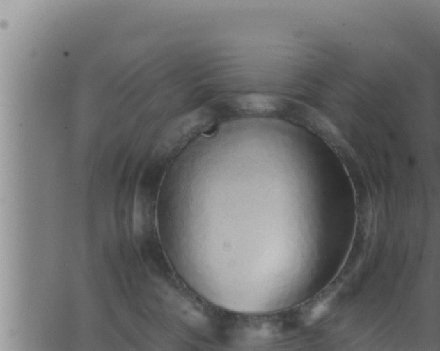 X0000062880330200601171454