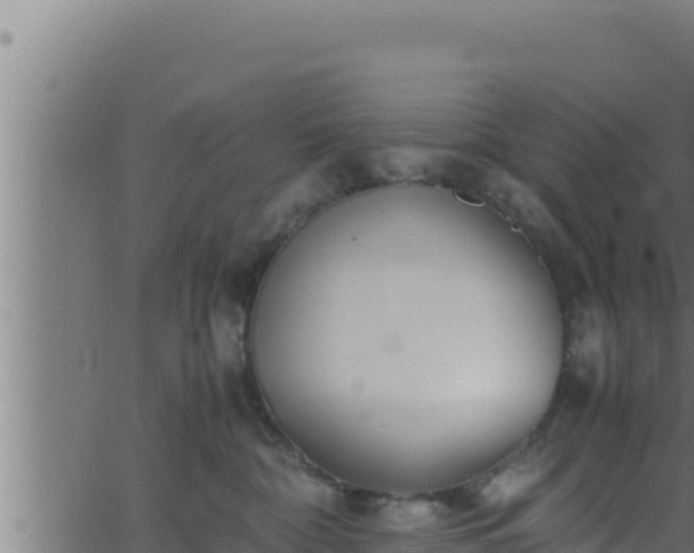 X0000062880332200601171454