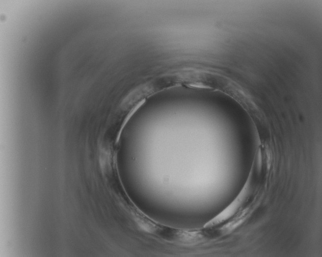 X0000062880333200601171454