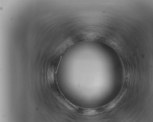 X0000062880334200601171454