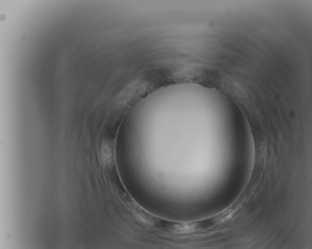 X0000062880335200601171454