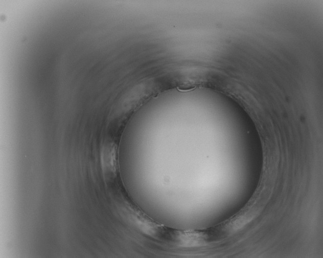 X0000062880336200601171454