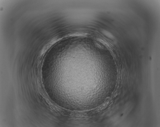 X0000062880337200601171453