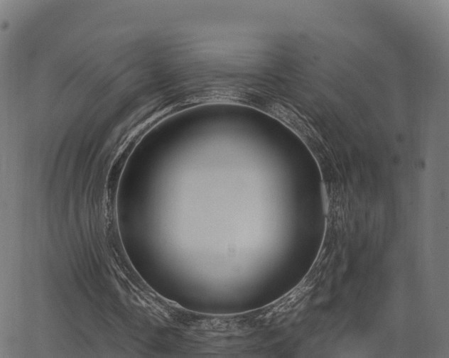 X0000062880338200601171453