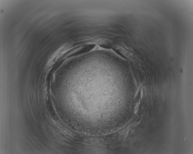 X0000062880339200601171453