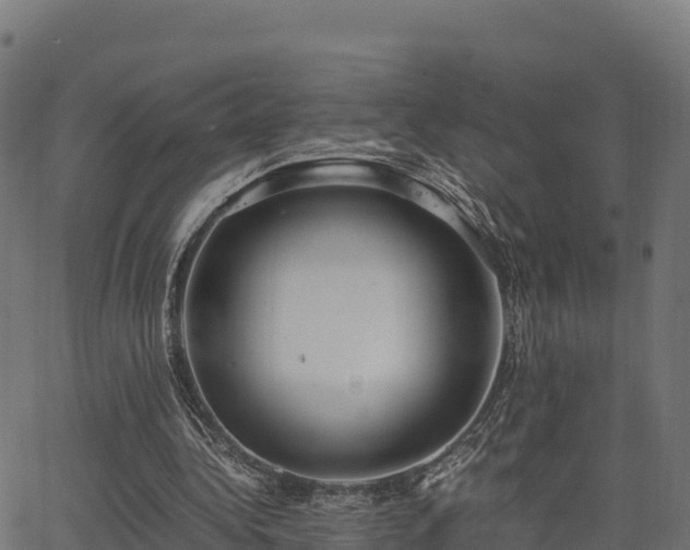 X0000062880340200601171453