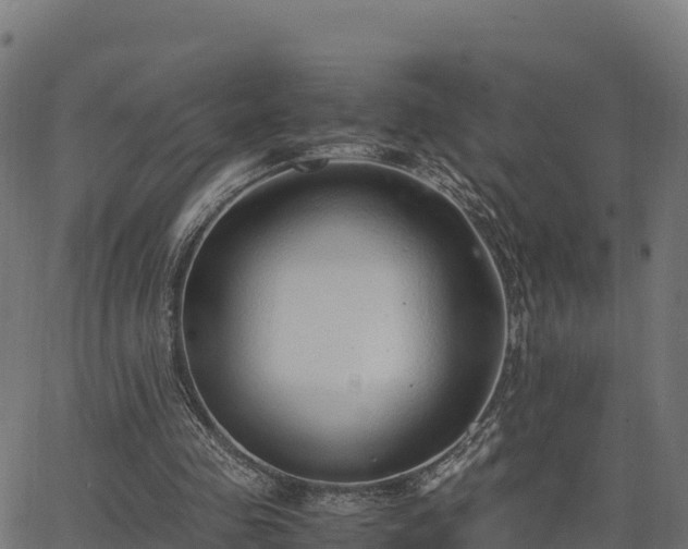 X0000062880341200601171453