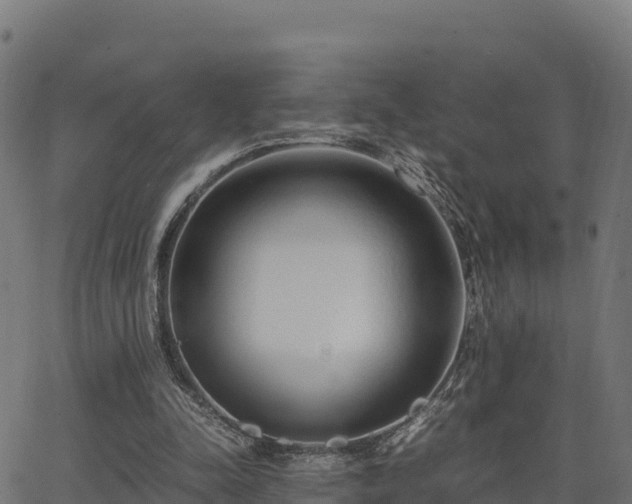 X0000062880342200601171453