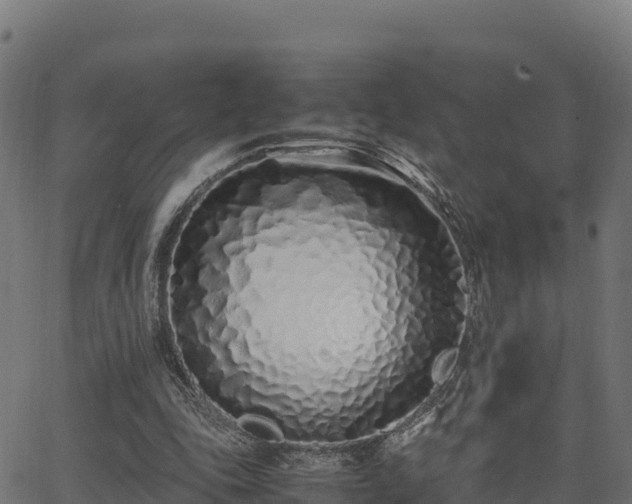 X0000062880343200601171453