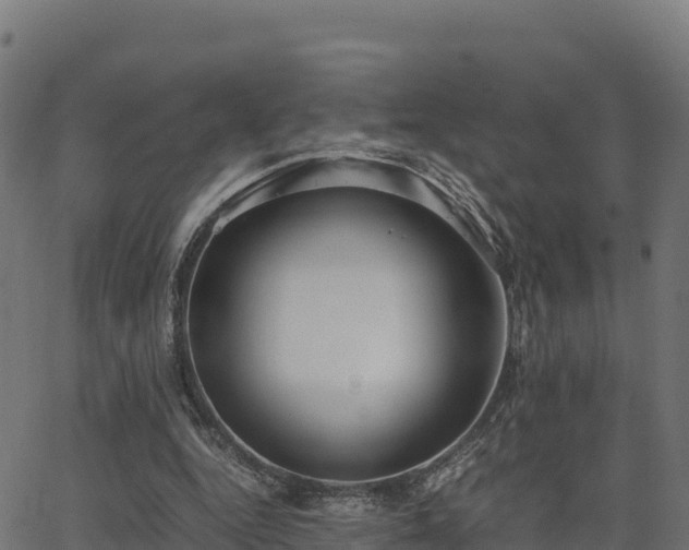 X0000062880344200601171453