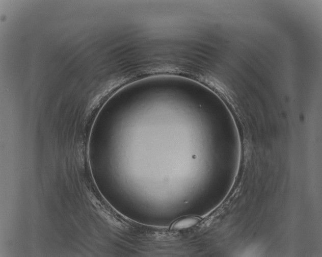 X0000062880345200601171453