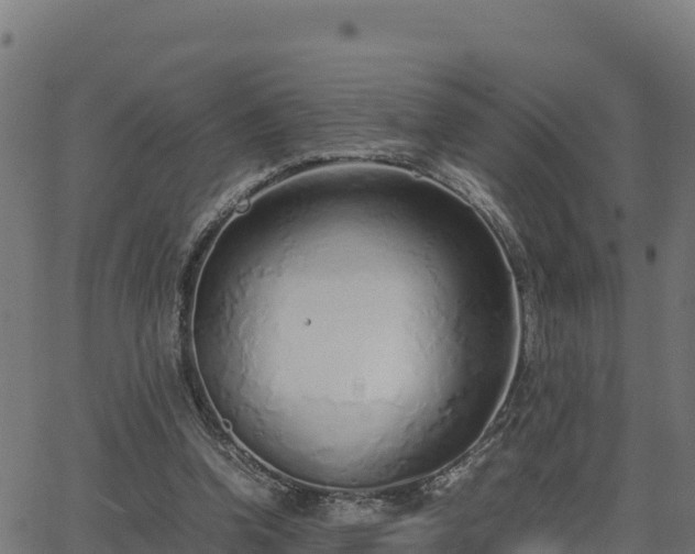 X0000062880346200601171453