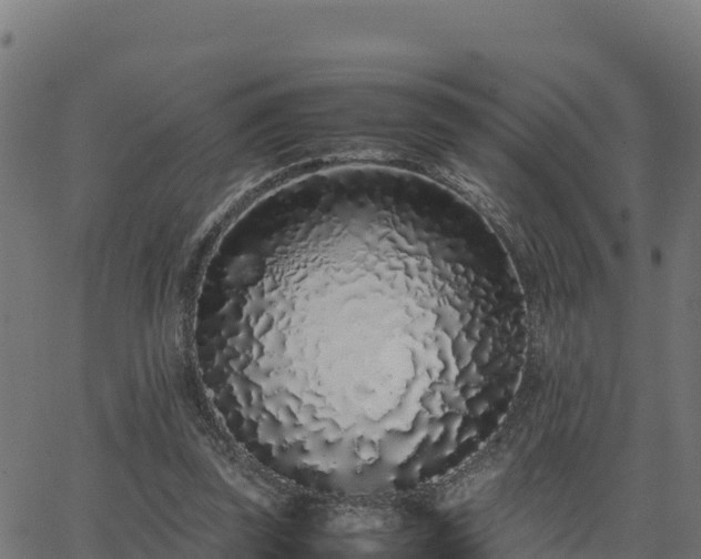 X0000062880347200601171453