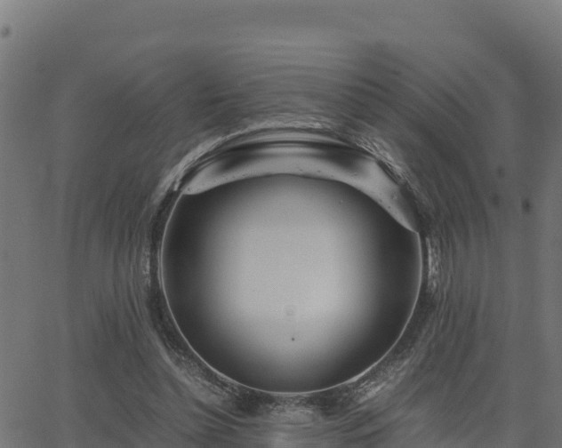 X0000062880348200601171453