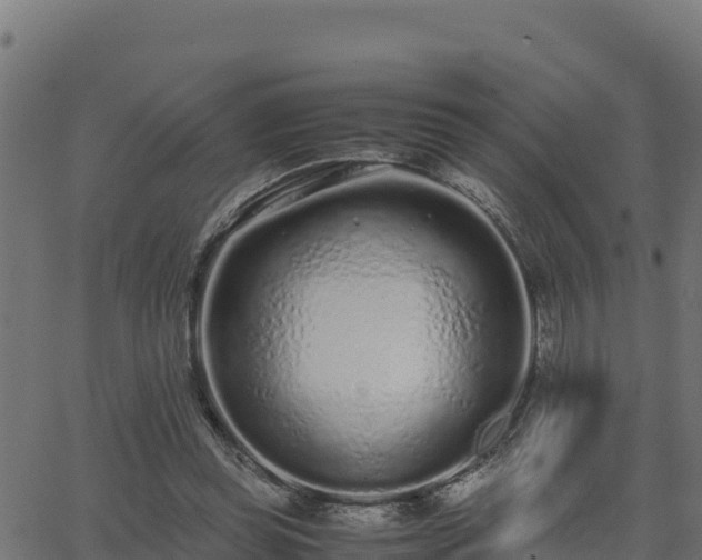 X0000062880349200601171453