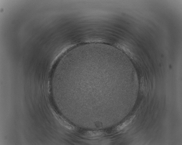 X0000062880351200601171453