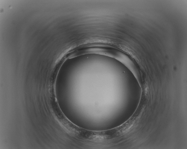 X0000062880352200601171453