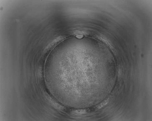 X0000062880353200601171453