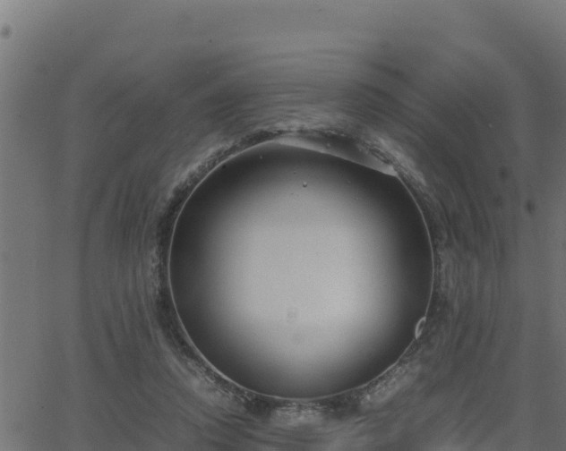 X0000062880354200601171453