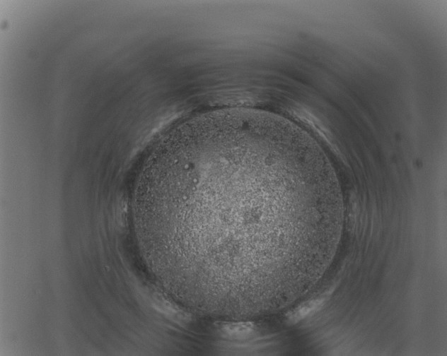 X0000062880355200601171453