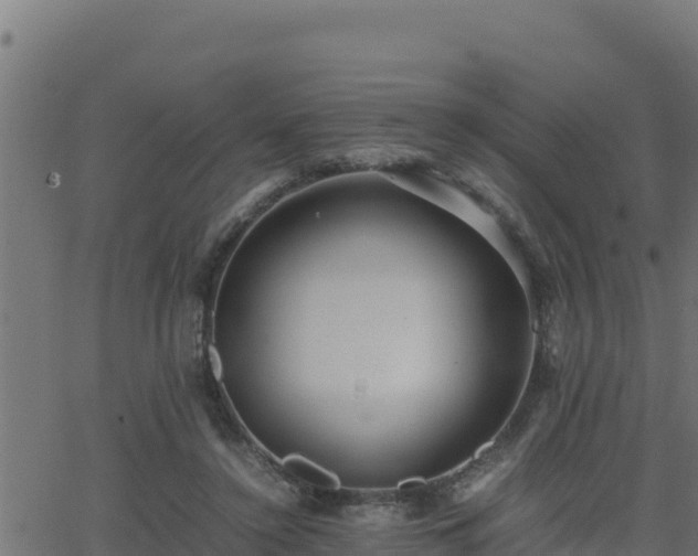 X0000062880356200601171453