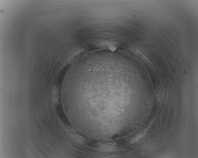 X0000062880359200601171453