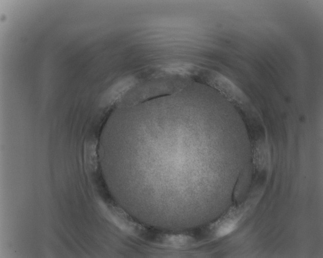 X0000062880360200601171453