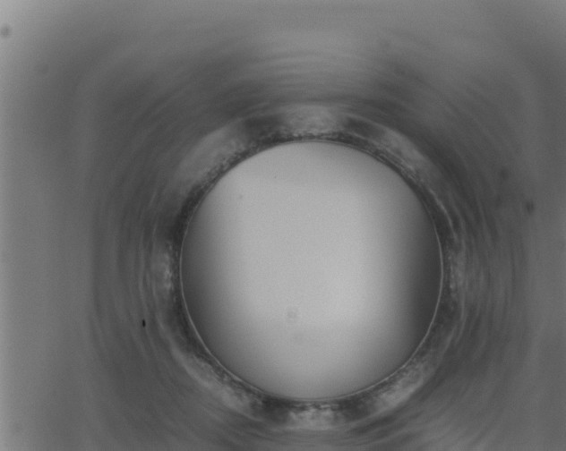 X0000062880362200601171453