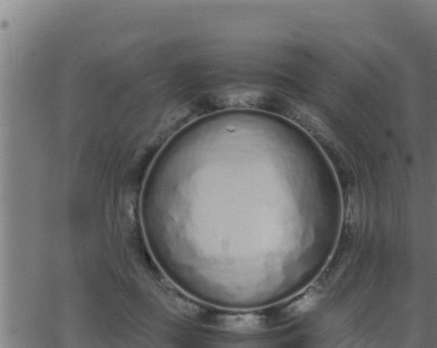 X0000062880363200601171453