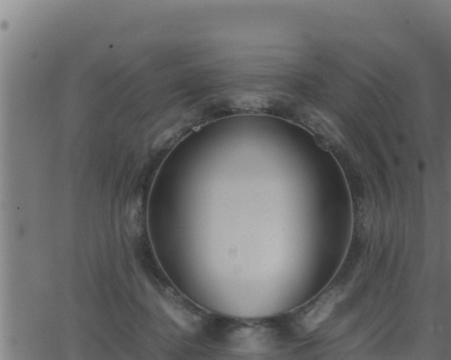 X0000062880364200601171453