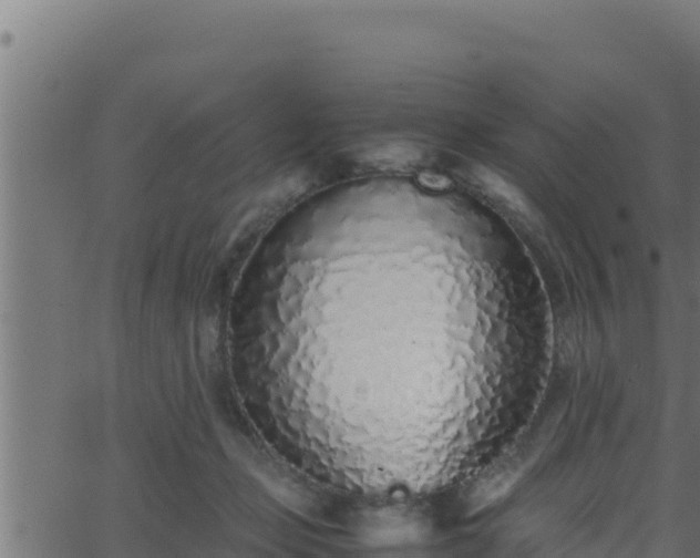 X0000062880365200601171453