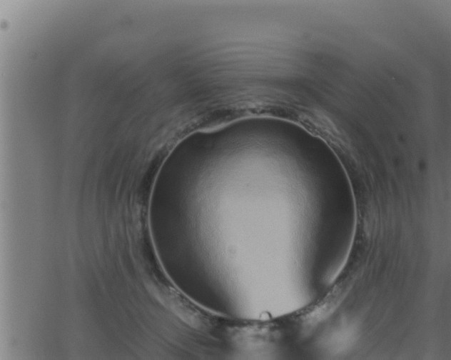 X0000062880366200601171453