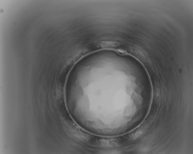 X0000062880367200601171453