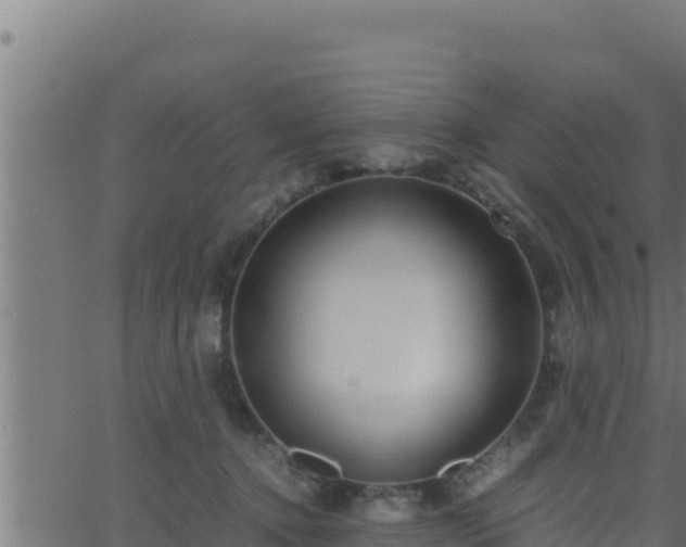 X0000062880368200601171453