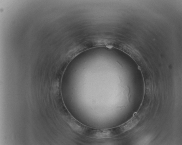 X0000062880369200601171454