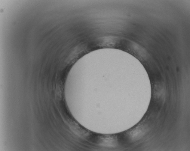 X0000062880370200601171454