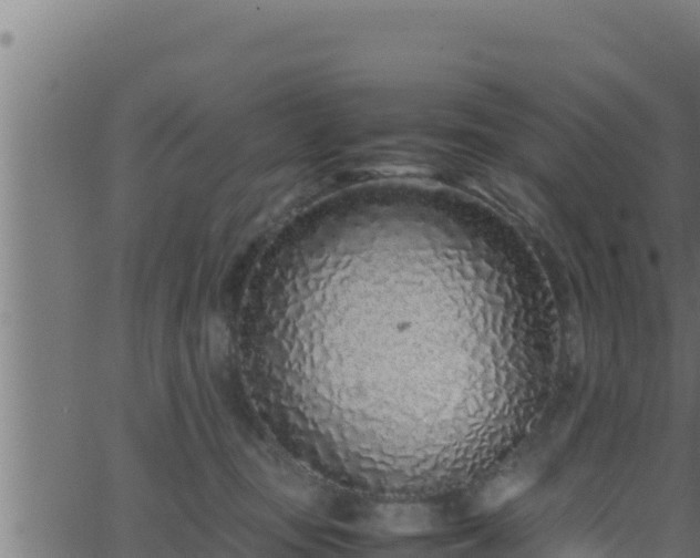 X0000062880371200601171454