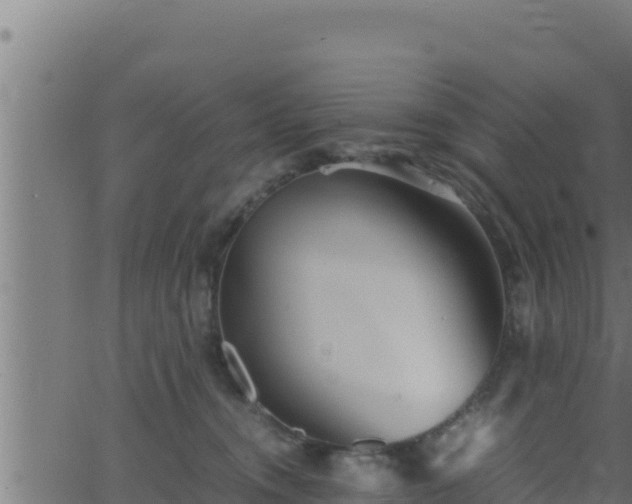 X0000062880372200601171454