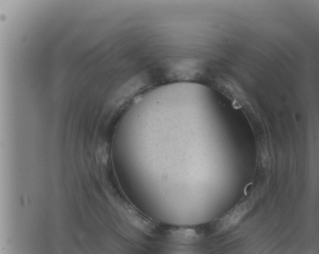 X0000062880374200601171454