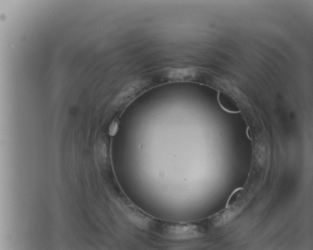 X0000062880375200601171454