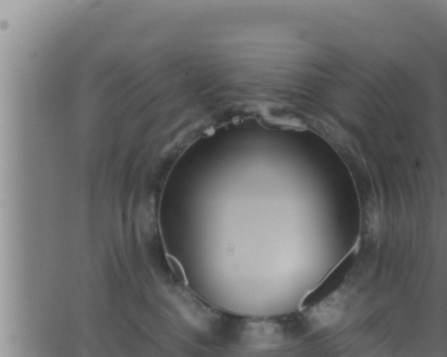 X0000062880376200601171454