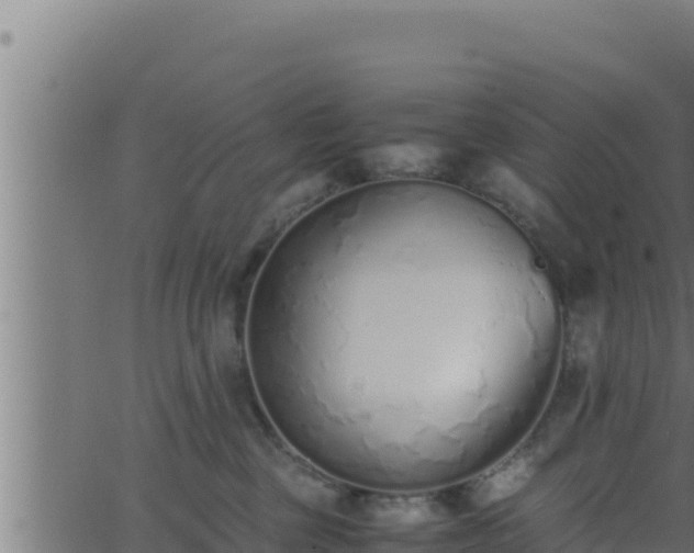 X0000062880377200601171454