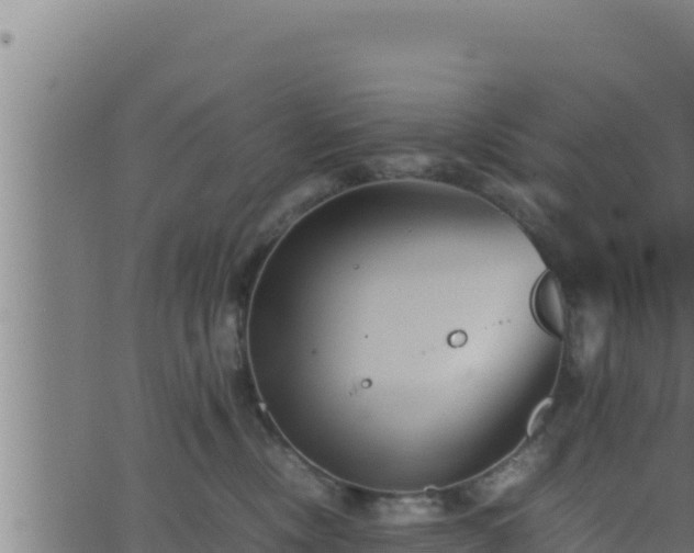 X0000062880378200601171454