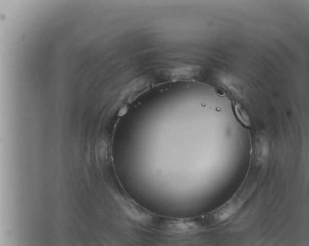 X0000062880379200601171454